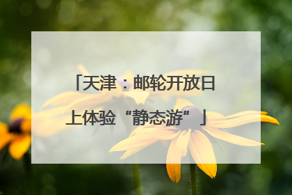 天津：邮轮开放日上体验“静态游”
