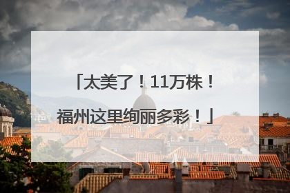 太美了！11万株！福州这里绚丽多彩！