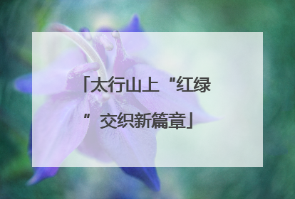 太行山上“红绿”交织新篇章