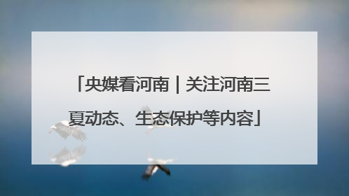央媒看河南｜关注河南三夏动态、生态保护等内容