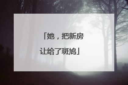 她，把新房让给了斑鸠