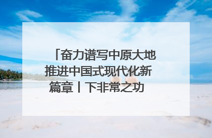 奋力谱写中原大地推进中国式现代化新篇章丨下非常之功 战非常“三夏”