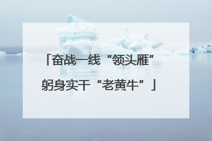 奋战一线“领头雁” 躬身实干“老黄牛”
