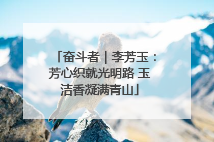 奋斗者｜李芳玉：芳心织就光明路 玉洁香凝满青山