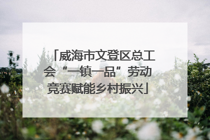 威海市文登区总工会“一镇一品”劳动竞赛赋能乡村振兴