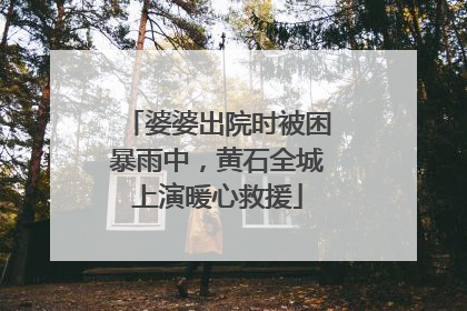 婆婆出院时被困暴雨中，黄石全城上演暖心救援