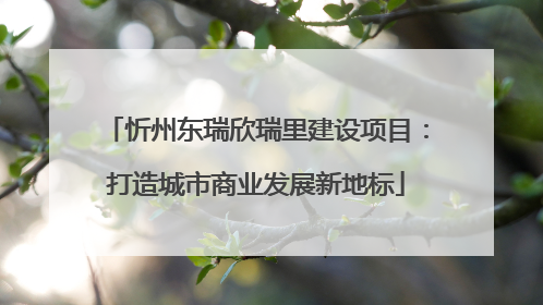 忻州东瑞欣瑞里建设项目：打造城市商业发展新地标