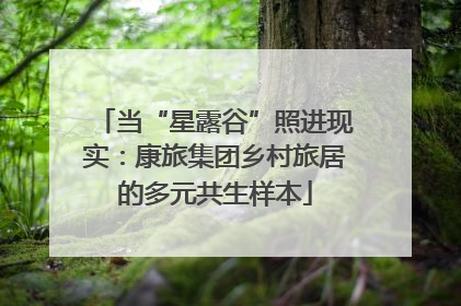 当“星露谷”照进现实：康旅集团乡村旅居的多元共生样本
