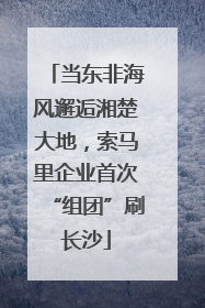 当东非海风邂逅湘楚大地，索马里企业首次“组团”刷长沙
