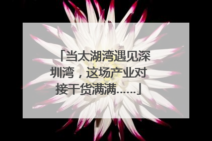 当太湖湾遇见深圳湾，这场产业对接干货满满……