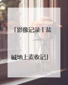 影像记录丨盐碱地上麦收记