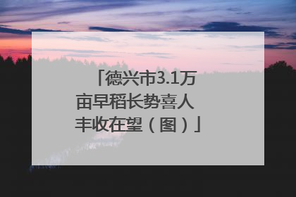 德兴市3.1万亩早稻长势喜人 丰收在望（图）
