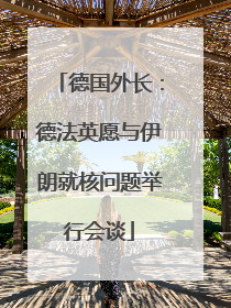 德国外长：德法英愿与伊朗就核问题举行会谈