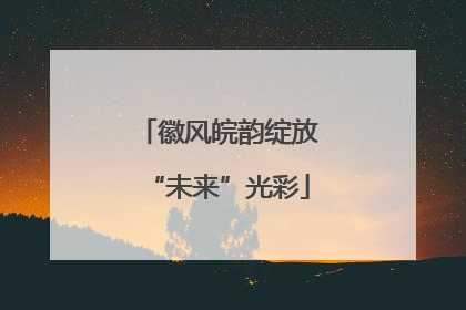 徽风皖韵绽放“未来”光彩