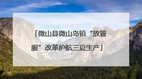 微山县微山岛镇“放管服”改革护航三夏生产