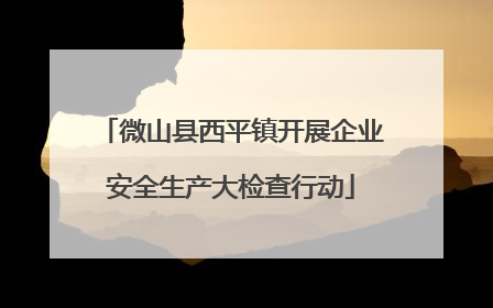 微山县西平镇开展企业安全生产大检查行动