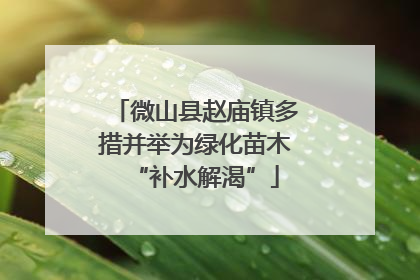 微山县赵庙镇多措并举为绿化苗木“补水解渴”