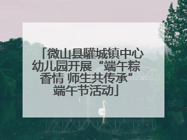 微山县驩城镇中心幼儿园开展“端午粽香情 师生共传承”端午节活动
