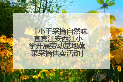 小手采摘自然味 宜宾江安西江小学开展劳动基地蔬菜采摘售卖活动