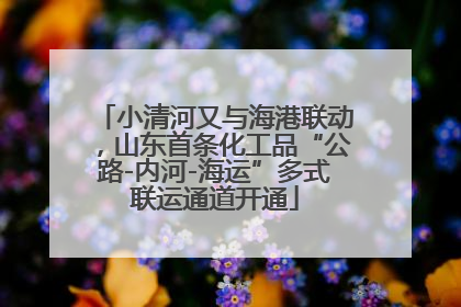 小清河又与海港联动，山东首条化工品“公路-内河-海运”多式联运通道开通