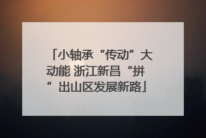 小轴承“传动”大动能 浙江新昌“拼”出山区发展新路