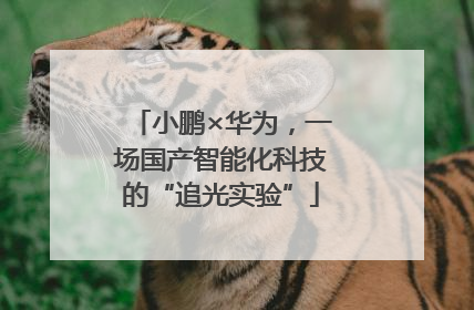 小鹏×华为，一场国产智能化科技的“追光实验”