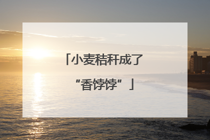 小麦秸秆成了“香饽饽”