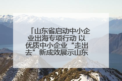 山东省启动中小企业出海专项行动 以优质中小企业“走出去”新成效展示山东产业发展新形象