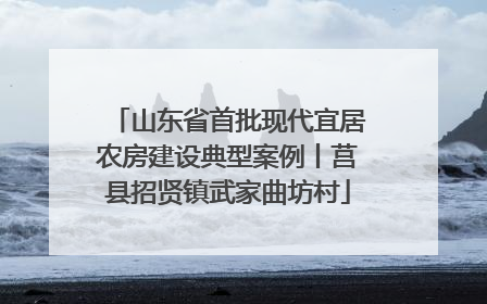 山东省首批现代宜居农房建设典型案例丨莒县招贤镇武家曲坊村