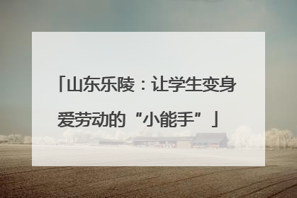 山东乐陵：让学生变身爱劳动的“小能手”