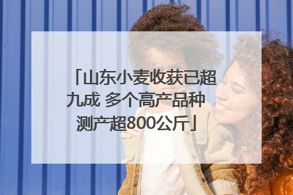 山东小麦收获已超九成 多个高产品种测产超800公斤