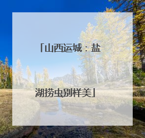 山西运城：盐湖捞虫别样美