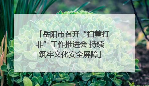 岳阳市召开“扫黄打非”工作推进会 持续筑牢文化安全屏障