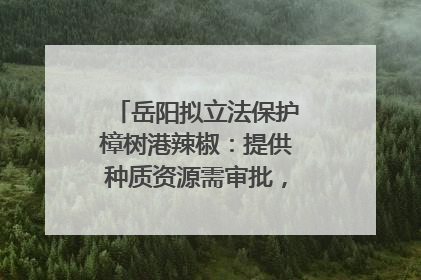 岳阳拟立法保护樟树港辣椒：提供种质资源需审批，违规最高罚5万