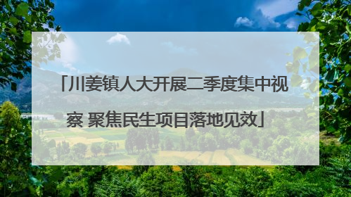 川姜镇人大开展二季度集中视察 聚焦民生项目落地见效