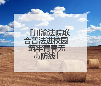 川渝法院联合普法进校园 筑牢青春无毒防线