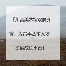 川音美术馆双展齐发，为青年艺术人才提供成长平台