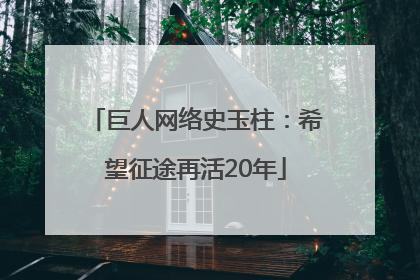 巨人网络史玉柱：希望征途再活20年