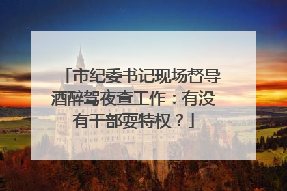 市纪委书记现场督导酒醉驾夜查工作：有没有干部耍特权？