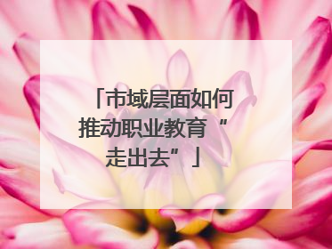 市域层面如何推动职业教育“走出去”
