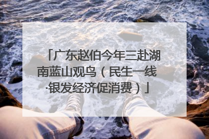 广东赵伯今年三赴湖南蓝山观鸟（民生一线·银发经济促消费）