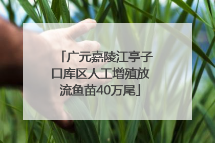 广元嘉陵江亭子口库区人工增殖放流鱼苗40万尾