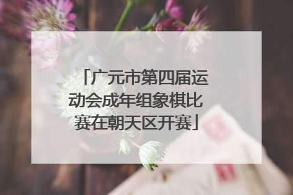 广元市第四届运动会成年组象棋比赛在朝天区开赛