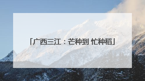 广西三江：芒种到 忙种稻