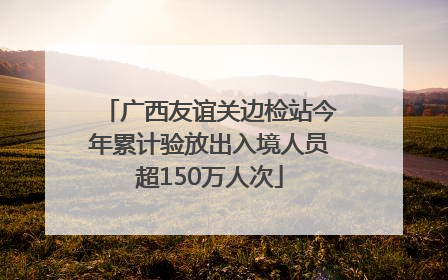 广西友谊关边检站今年累计验放出入境人员超150万人次
