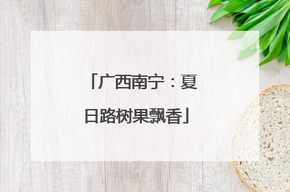 广西南宁：夏日路树果飘香