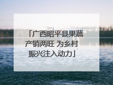 广西昭平县果蔬产销两旺 为乡村振兴注入动力