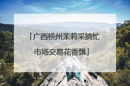 广西横州茉莉采摘忙 市场交易花香飘