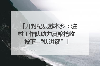 开封杞县苏木乡：驻村工作队助力夏粮抢收按下 “快进键”