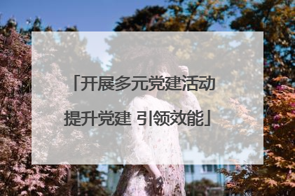 开展多元党建活动 提升党建 引领效能
